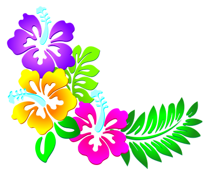 Vibrant_ Hawaiian_ Flower_ Artwork PNG Image