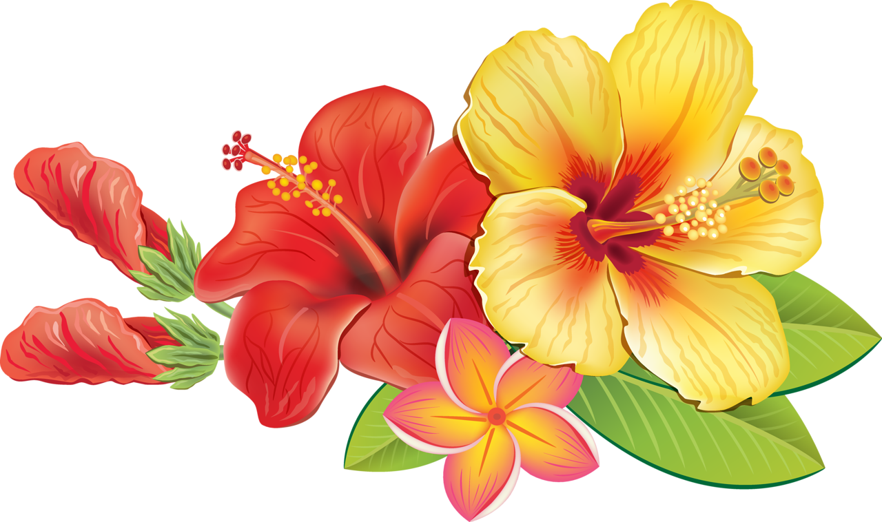 Vibrant Hawaiian Flowers Illustration PNG Image