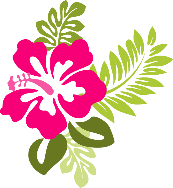 Vibrant_ Hawaiian_ Hibiscus_ Floral_ Vector PNG Image