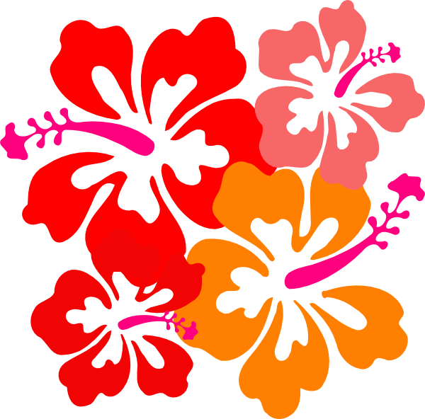 Vibrant_ Hawaiian_ Hibiscus_ Flowers_ Vector PNG Image