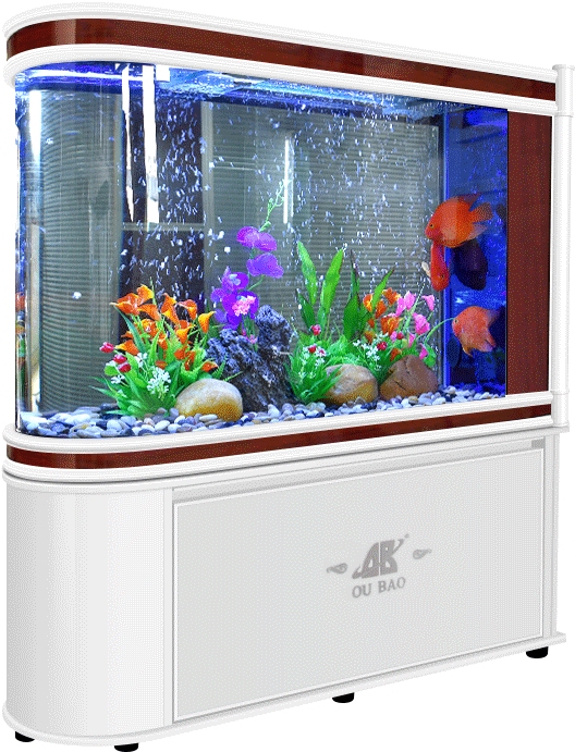 Vibrant Home Aquarium PNG Image