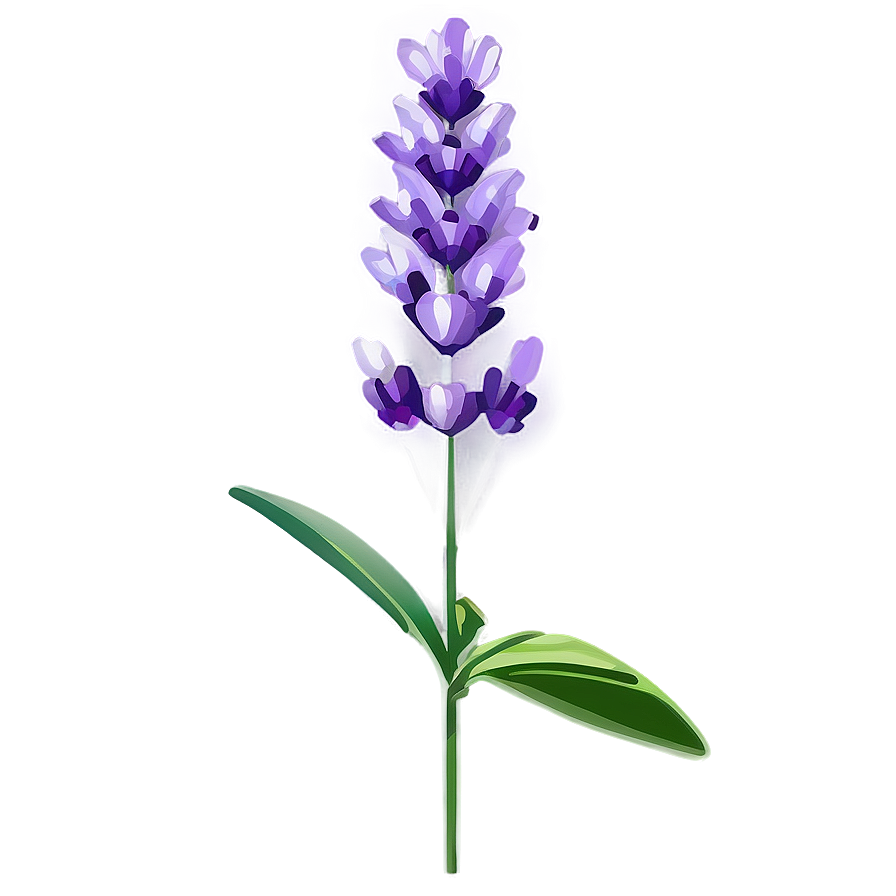 Vibrant Lavender Blossom Png 58 PNG Image