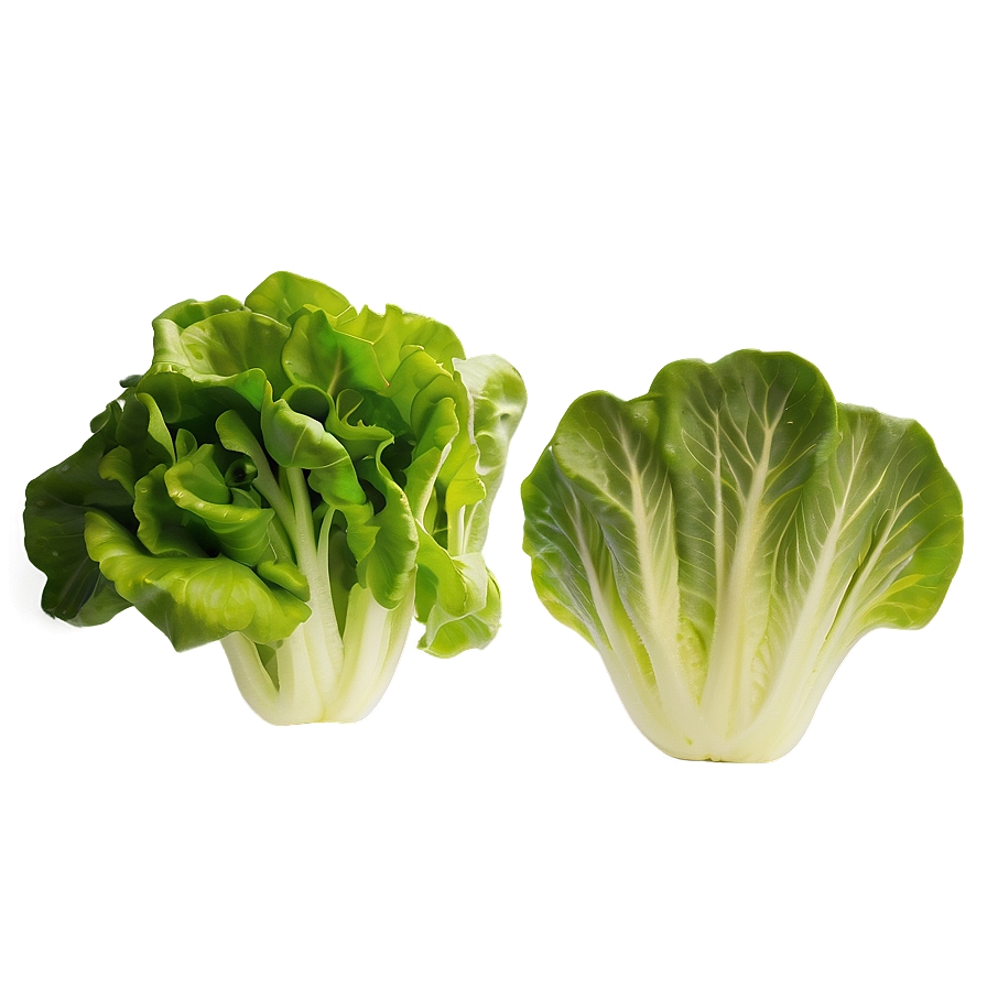 Vibrant Lettuce Png Jqg90 PNG Image