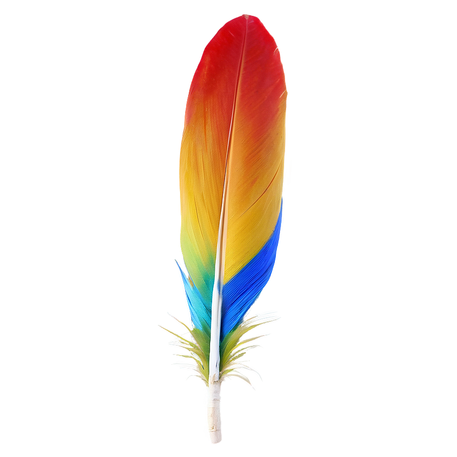 Vibrant Macaw Feather Png Jvs PNG Image