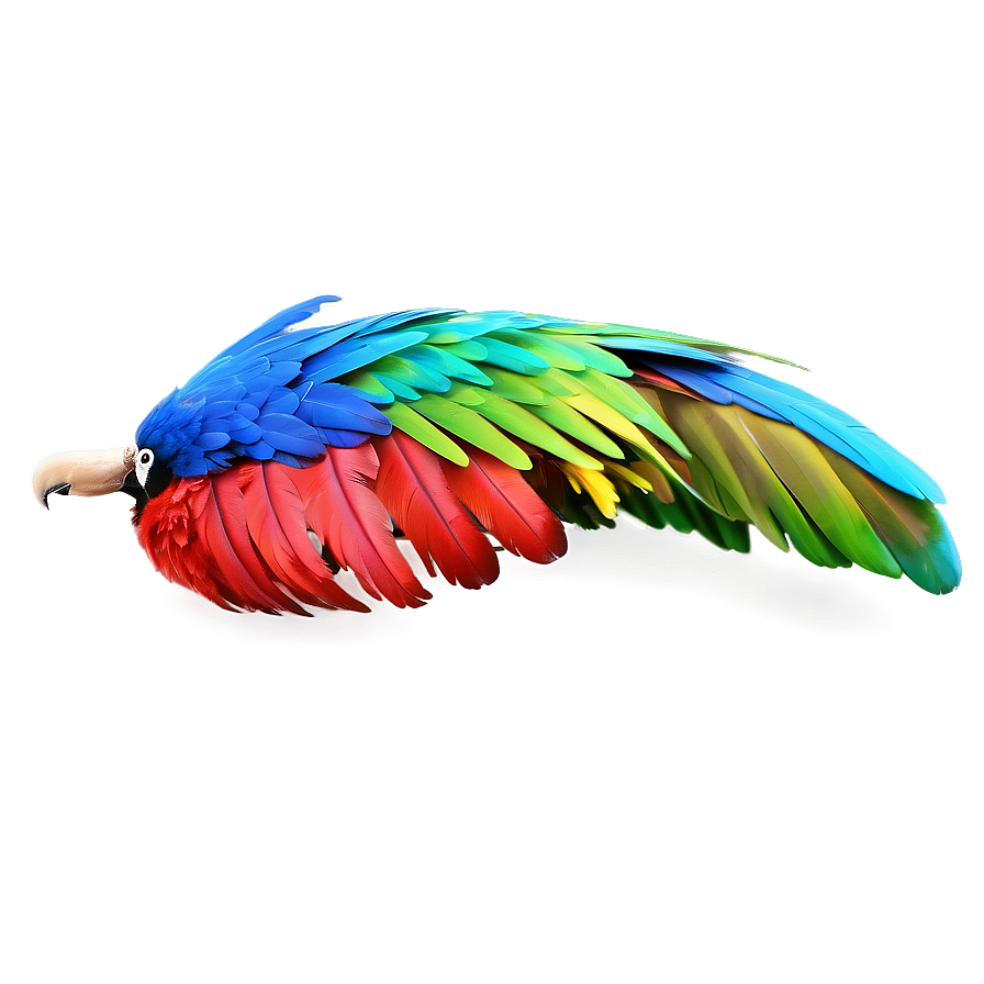 Vibrant Macaw Feather Png Ydi56 PNG Image