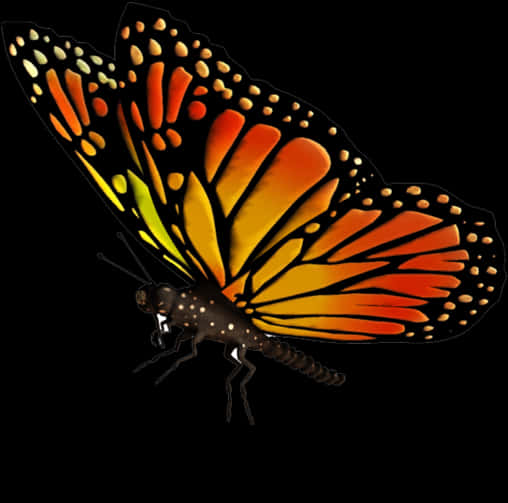 Vibrant Monarch Butterfly Isolated PNG Image