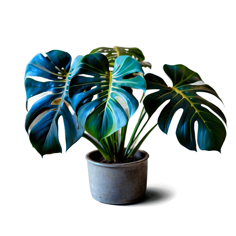 Vibrant Monstera Plant Png Apk99 PNG Image