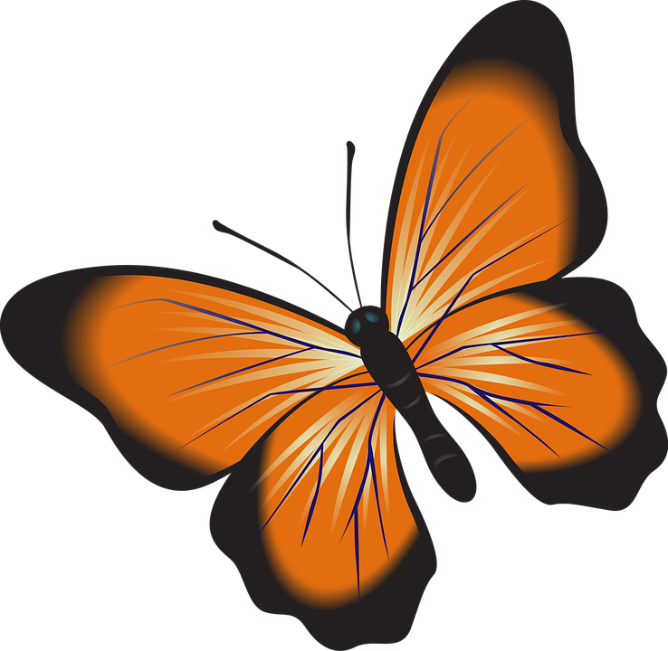 Vibrant Orange Butterfly Graphic PNG Image