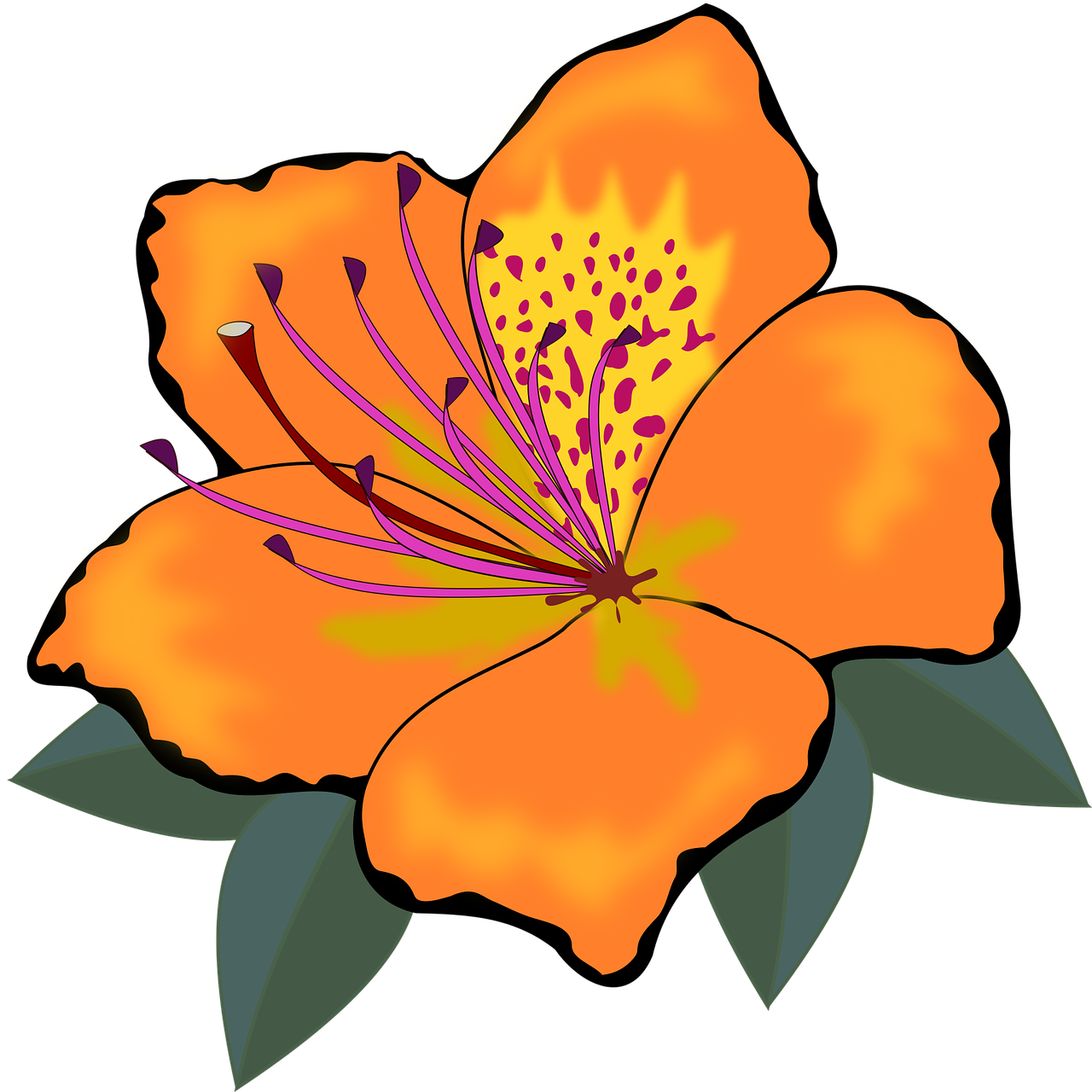 Vibrant Orange Flower Clipart PNG Image