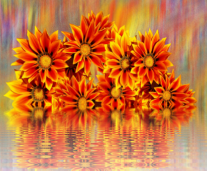 Vibrant Orange Flowers Reflection PNG Image