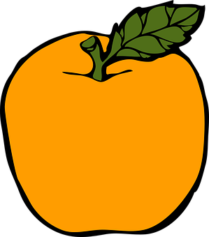 Vibrant Orange Fruit Illustration PNG Image