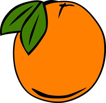 Vibrant Orange Fruit Illustration PNG Image