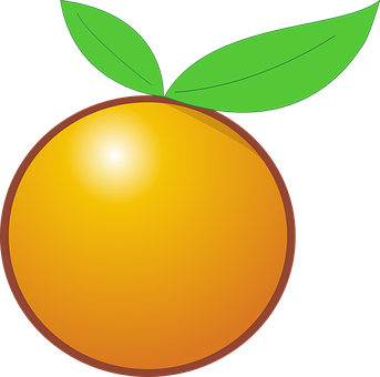 Vibrant Orange Fruit Illustration PNG Image