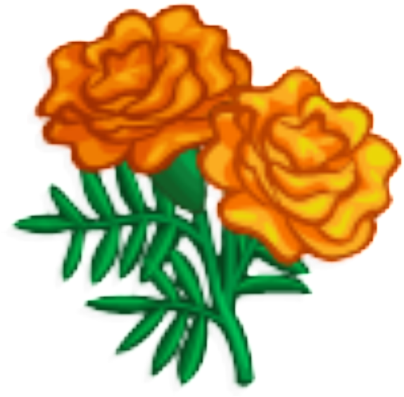 Vibrant Orange Marigolds Illustration PNG Image