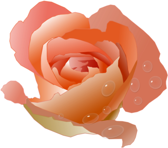 Vibrant Orange Rose Digital Artwork PNG Image