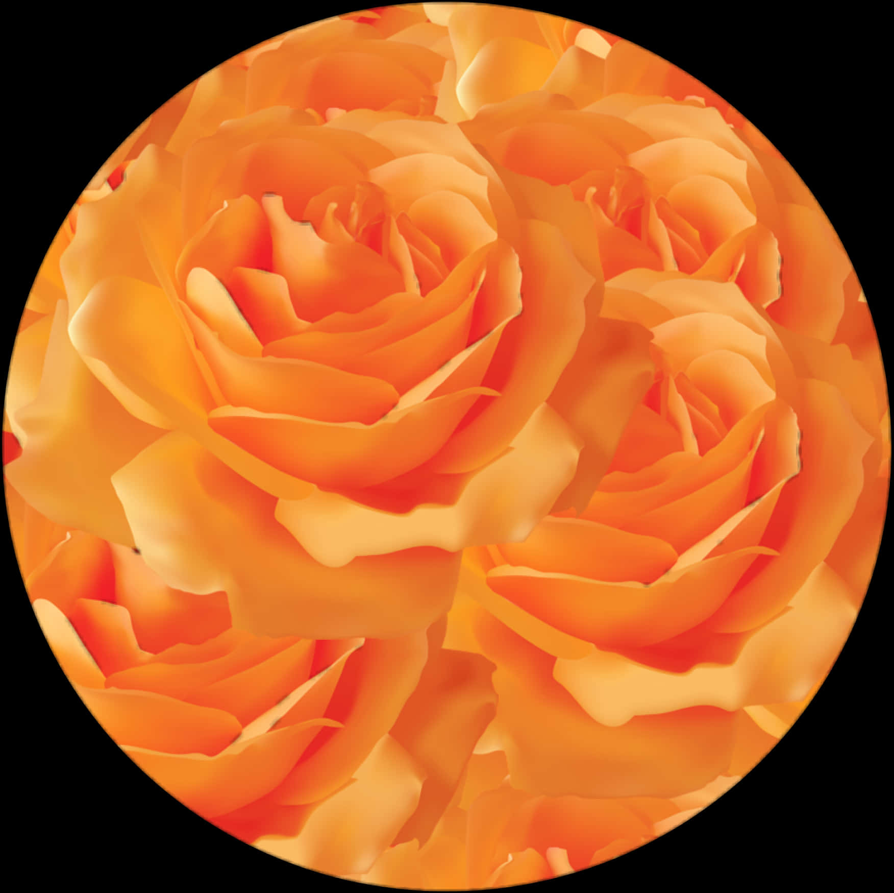 Vibrant_ Orange_ Roses_ Closeup PNG Image