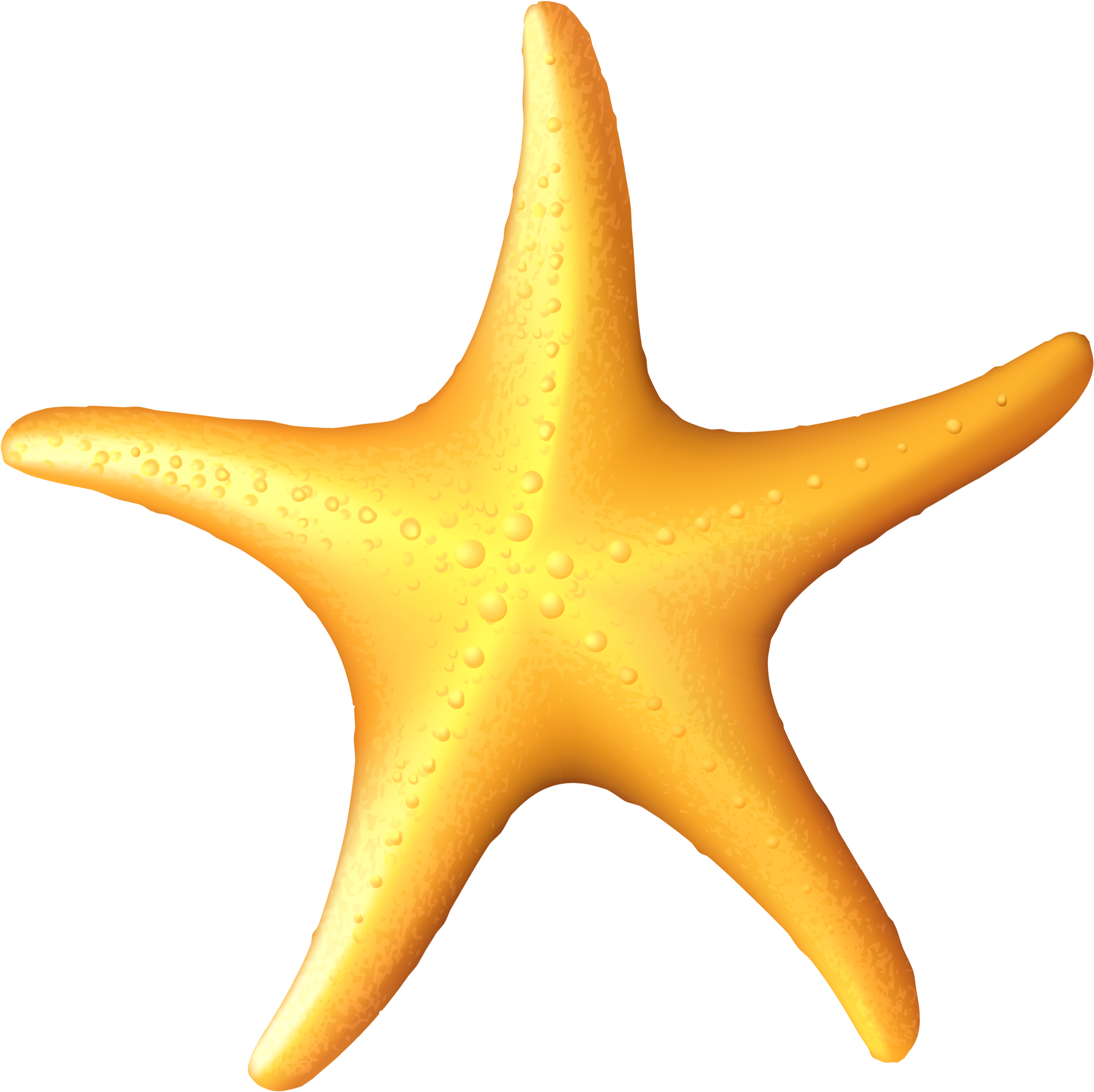 Vibrant_ Orange_ Starfish_ Clipart PNG Image