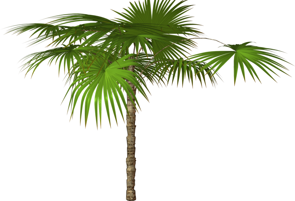 Vibrant Palm Tree Graphic PNG Image