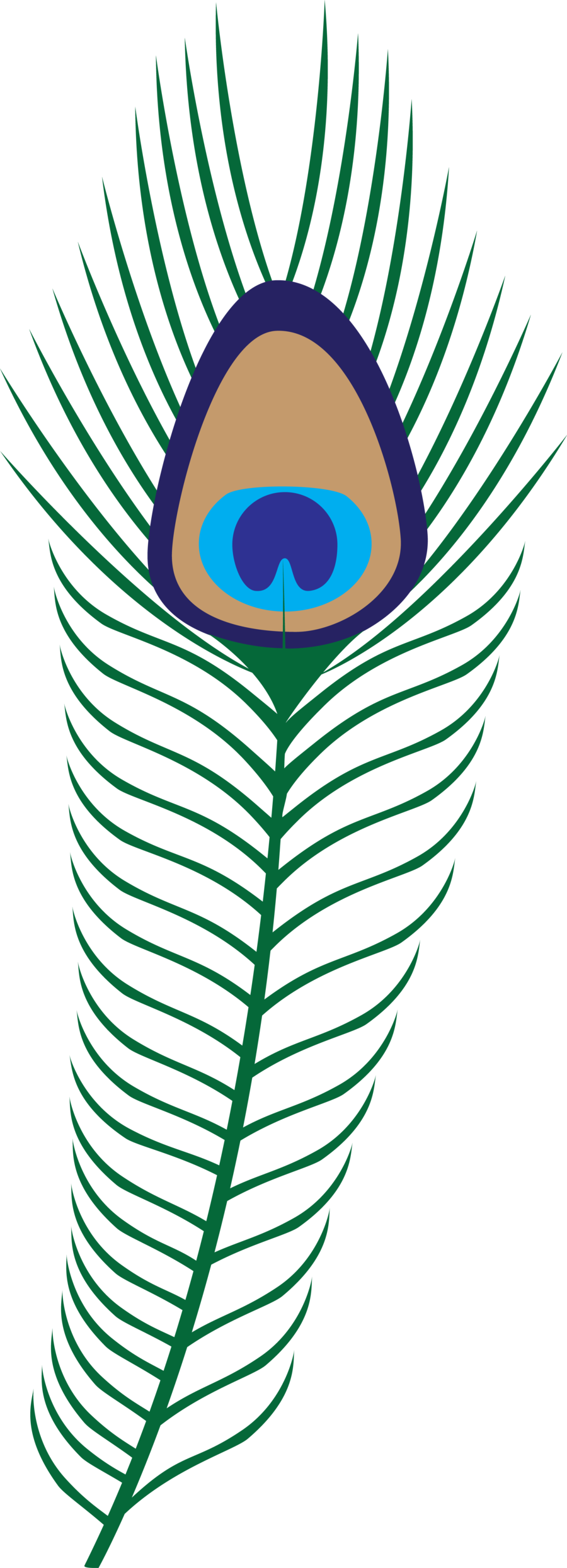 Vibrant_ Peacock_ Feather_ Graphic PNG Image