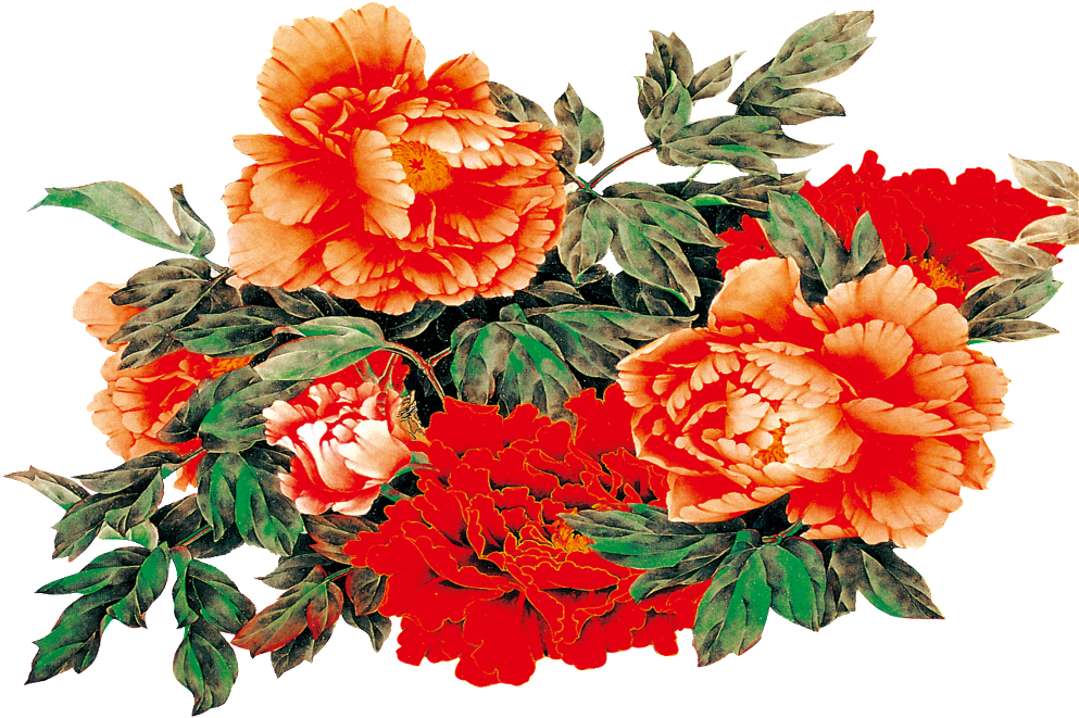 Vibrant Peony Bouquet.png PNG Image