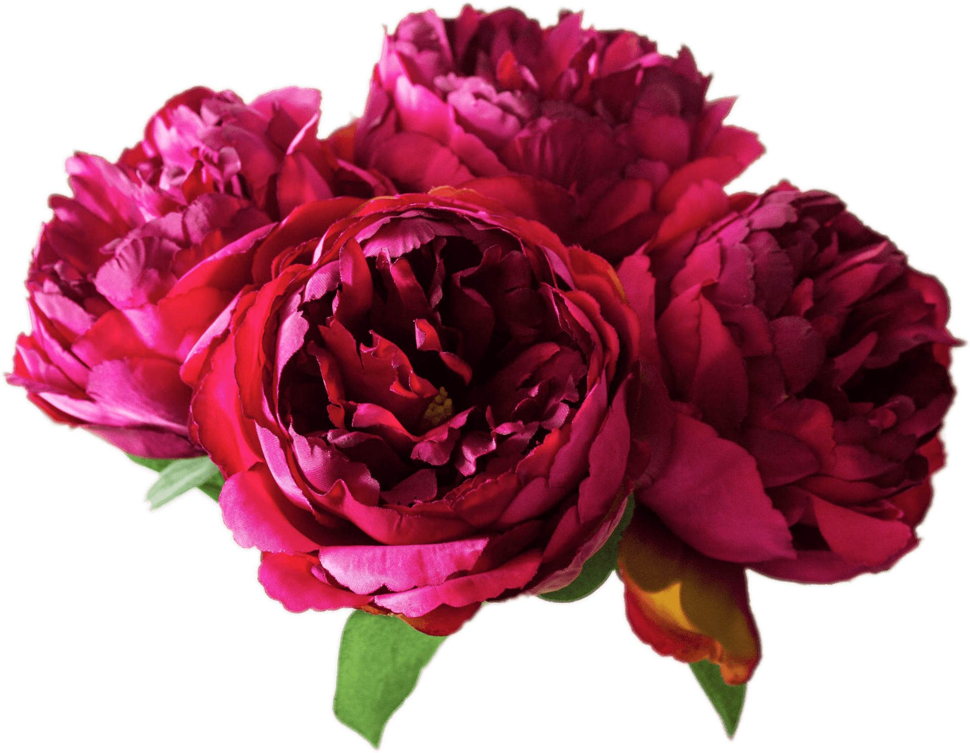 Vibrant Peony Bouquet.png PNG Image