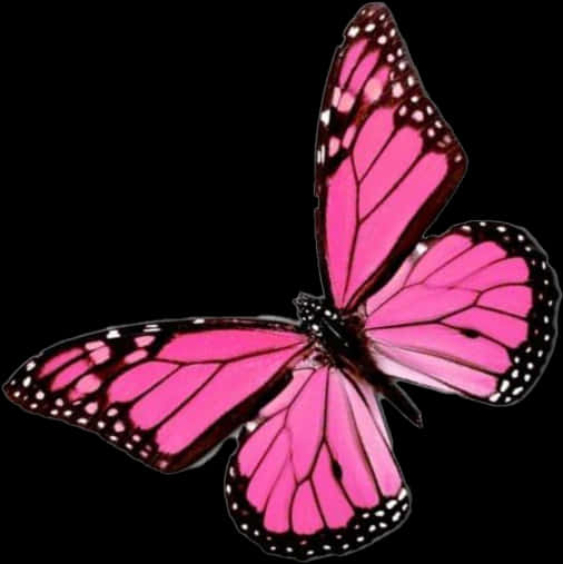 Vibrant_ Pink_ Butterfly_ Black_ Background.png PNG Image