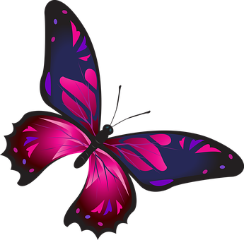 Vibrant Pink Butterfly Graphic PNG Image