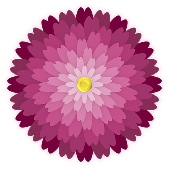 Vibrant Pink Dahlia Vector PNG Image