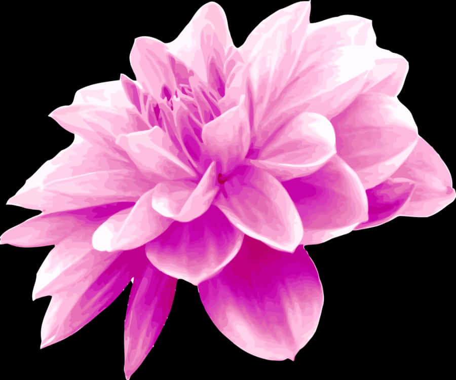 Vibrant_ Pink_ Flower_ Illustration PNG Image