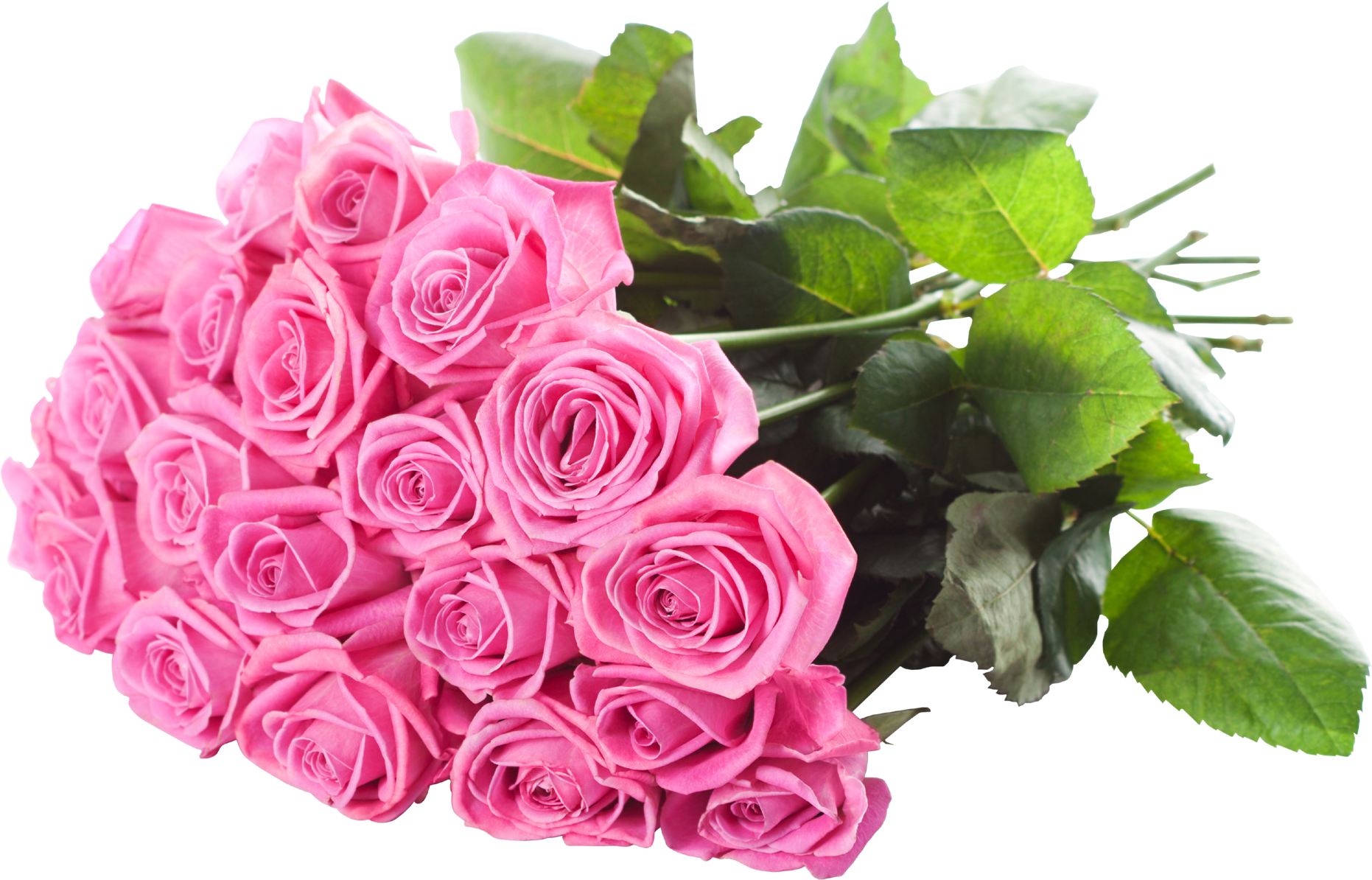 Vibrant_ Pink_ Rose_ Bouquet_ Transparent_ Background.png PNG Image