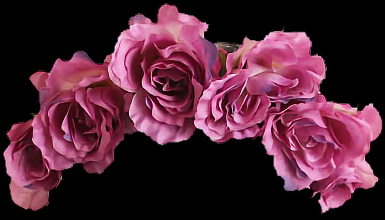 Vibrant_ Pink_ Roses_ Black_ Background.jpg PNG Image