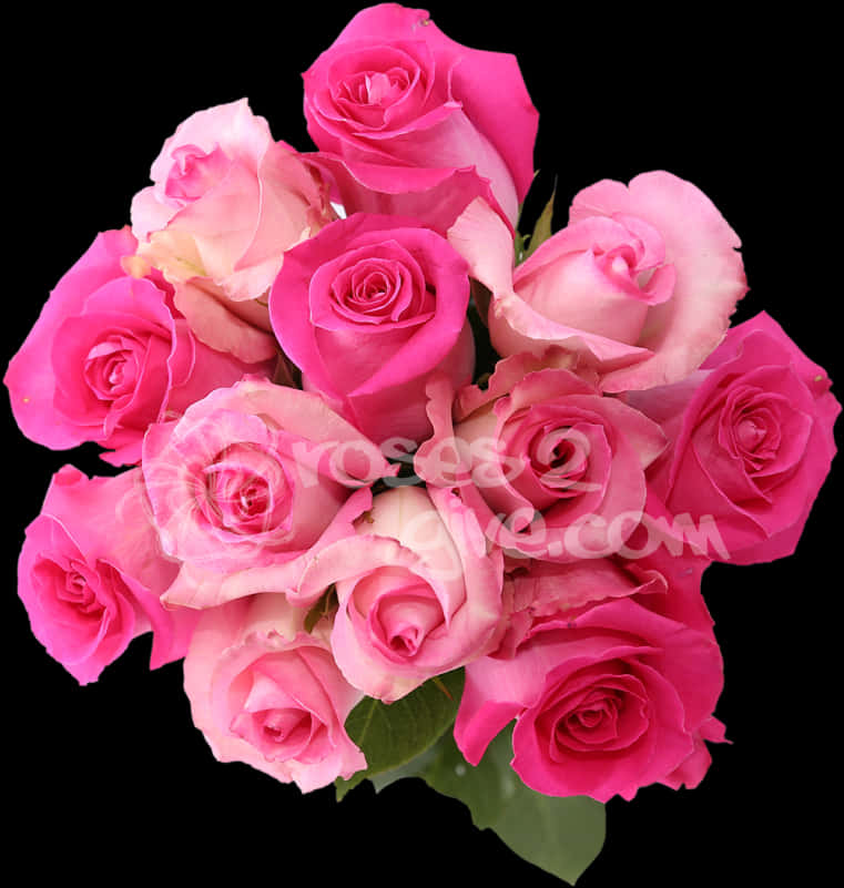 Vibrant_ Pink_ Roses_ Bouquet PNG Image