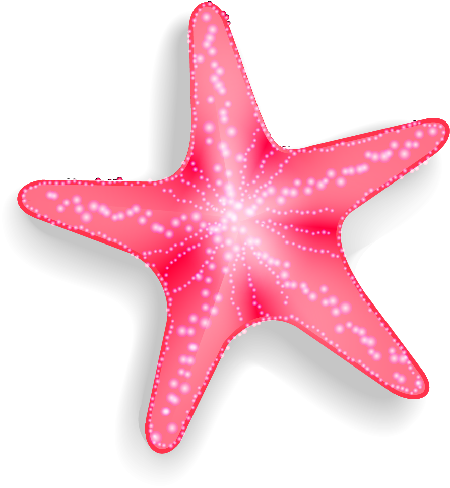 Vibrant Pink Starfish Clipart PNG Image