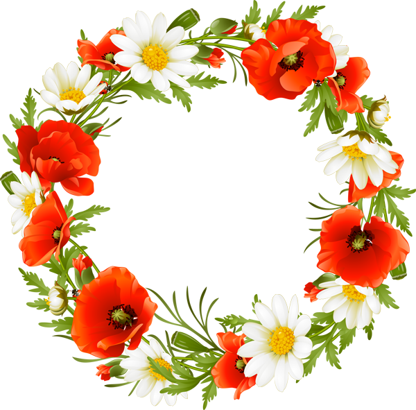 Vibrant_ Poppy_and_ Daisy_ Wreath.png PNG Image