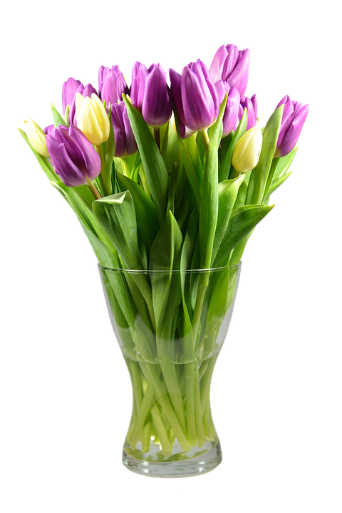 Vibrant_ Purple_and_ Yellow_ Tulips_in_ Glass_ Vase PNG Image