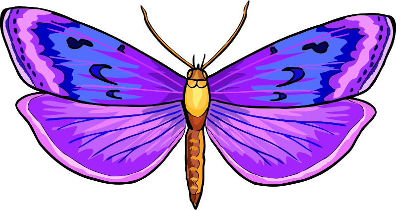 Vibrant Purple Butterfly Illustration PNG Image