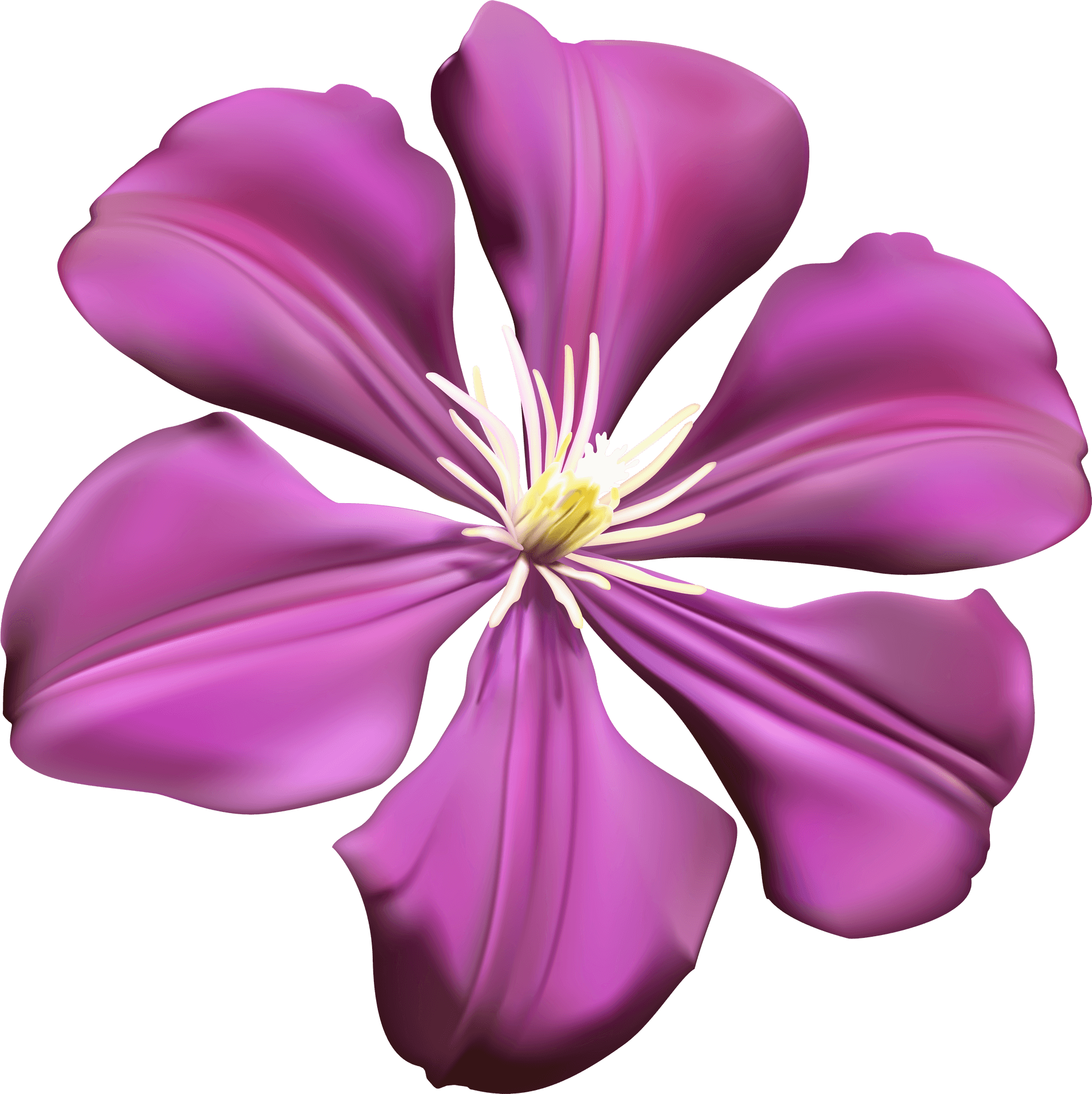 Vibrant Purple Flower Graphic PNG Image