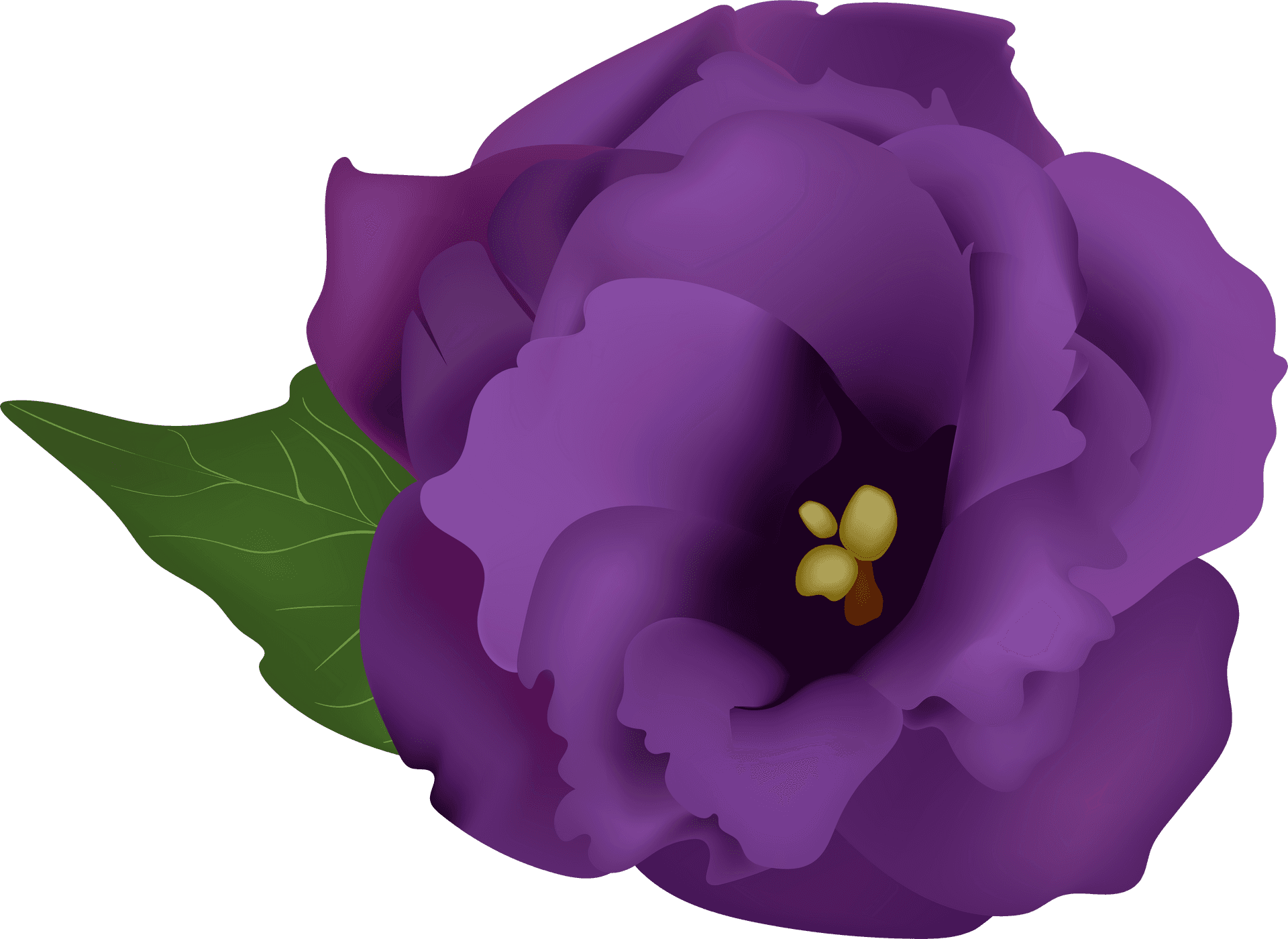 Vibrant_ Purple_ Flower_ Illustration.png PNG Image