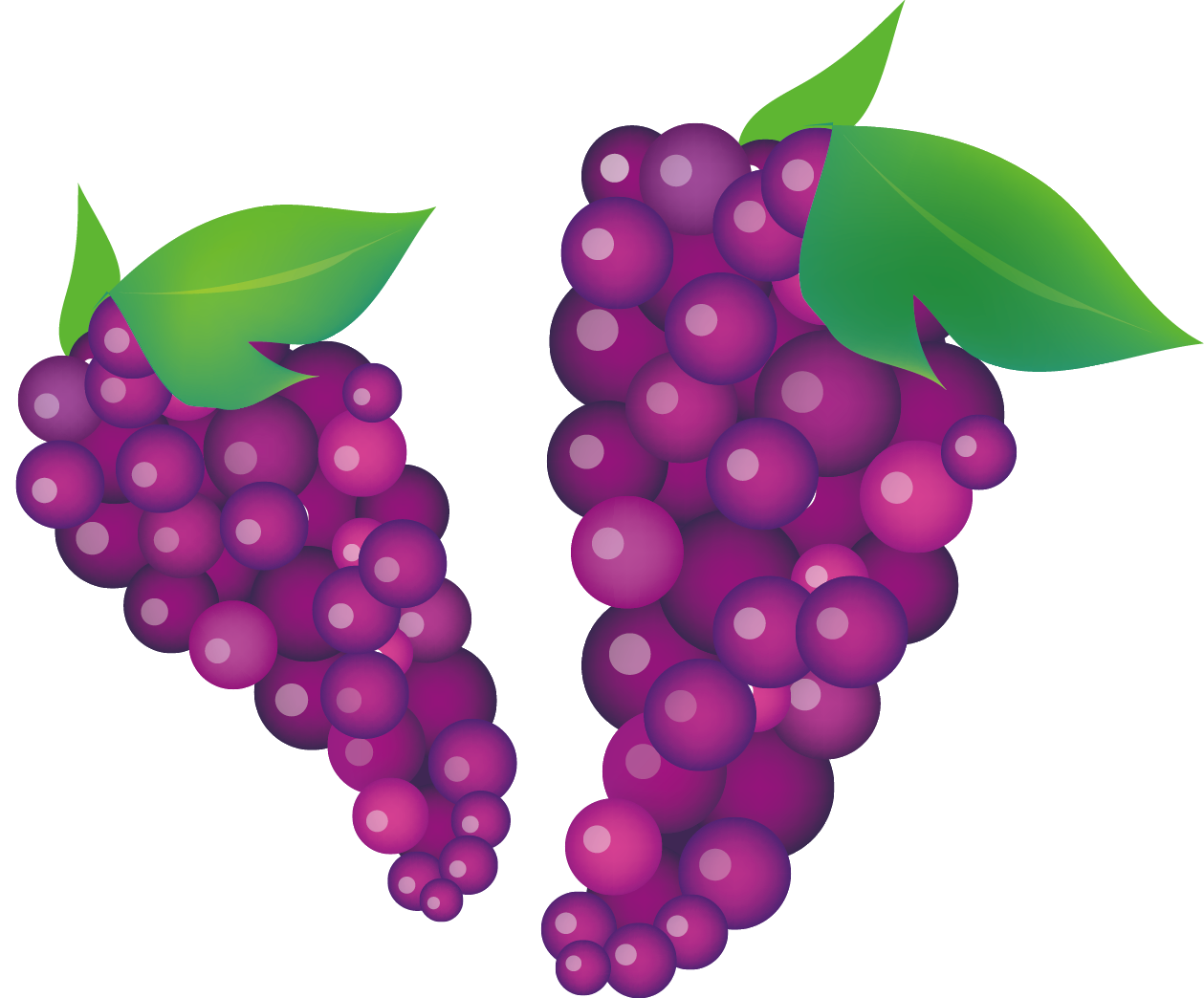 Vibrant Purple Grapes Vector PNG Image