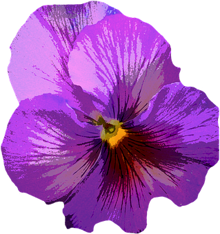 Vibrant Purple Pansy Flower PNG Image