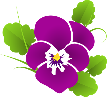 Vibrant Purple Pansy Vector PNG Image