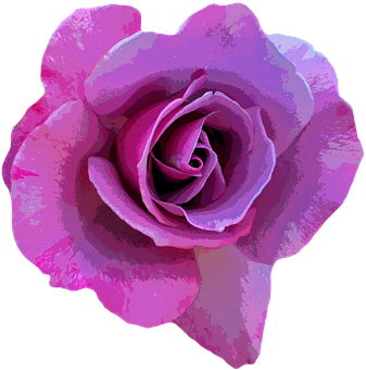 Vibrant Purple Rose Art PNG Image