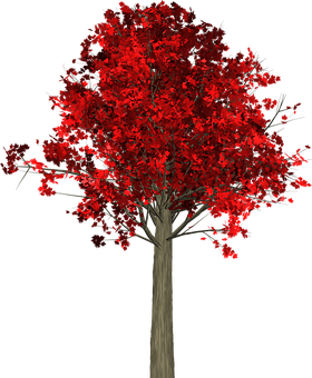 Vibrant Red Autumn Tree PNG Image