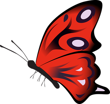 Vibrant Red Butterfly Illustration PNG Image