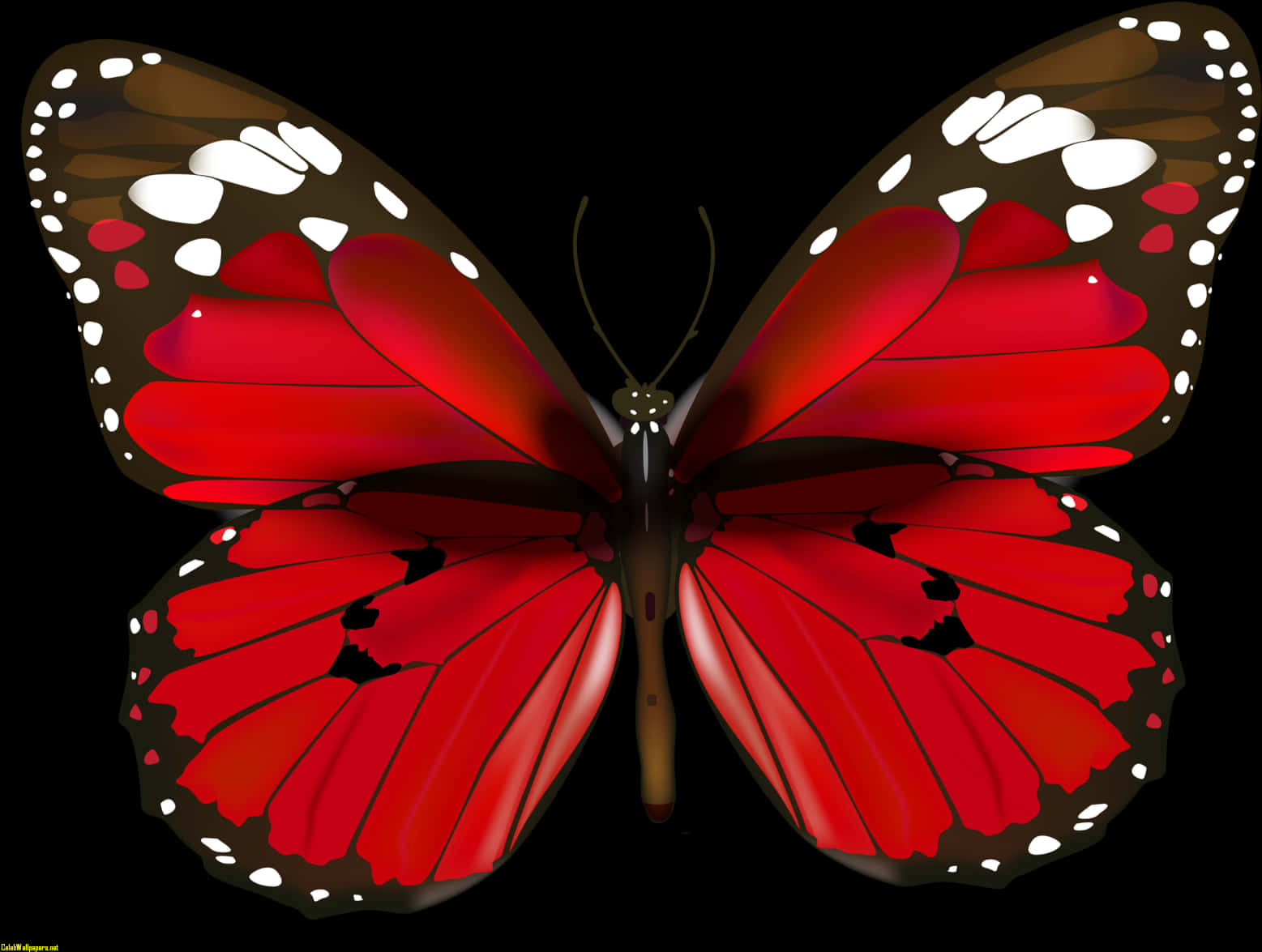 Vibrant_ Red_ Butterfly_ Illustration PNG Image