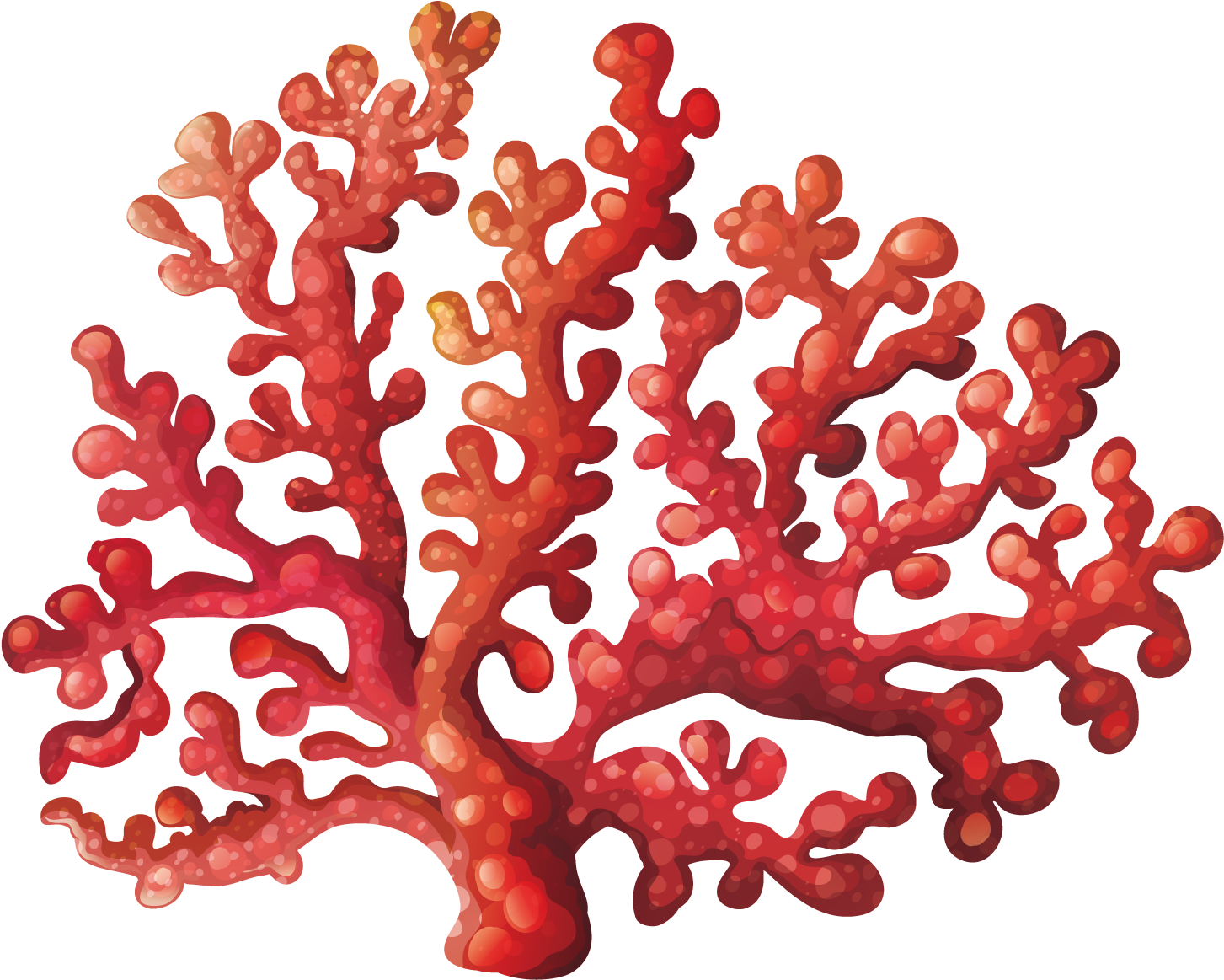 Vibrant Red Coral Illustration PNG Image