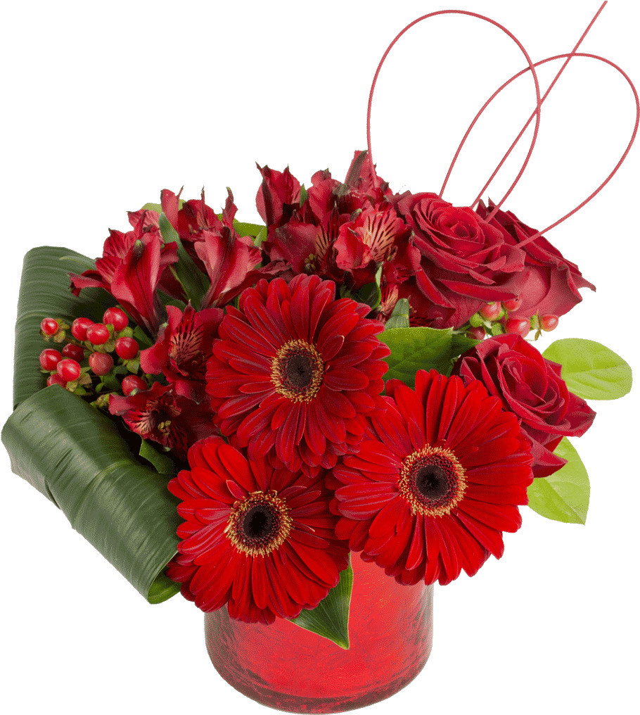 Vibrant Red Floral Arrangement PNG Image