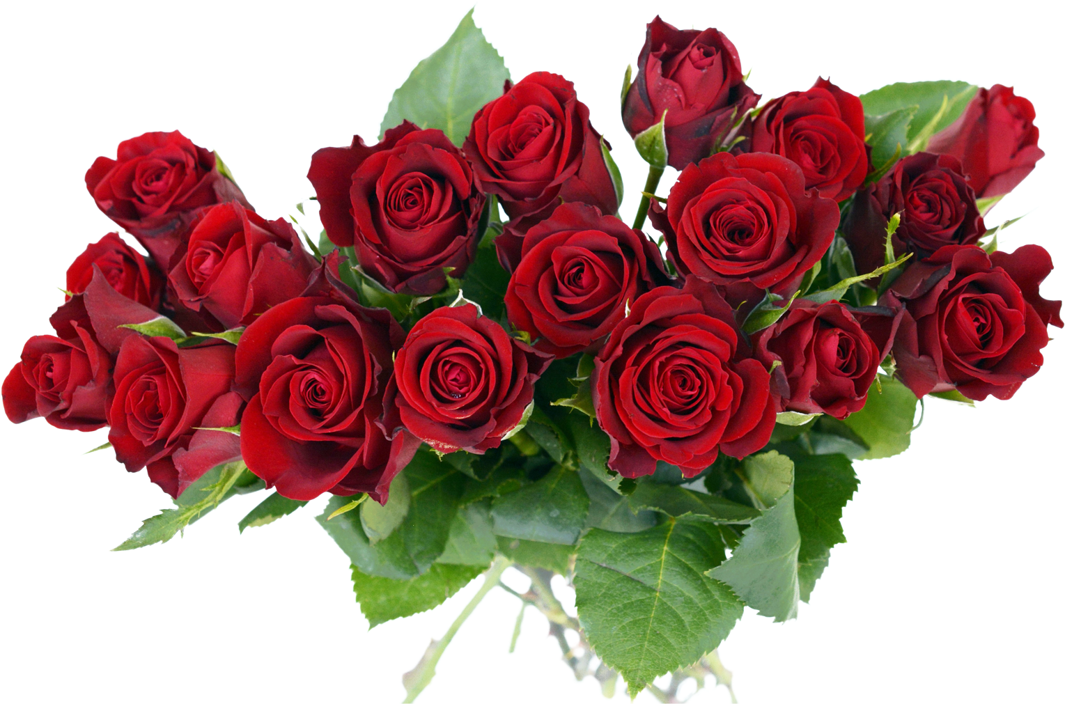 Vibrant_ Red_ Rose_ Bouquet.png PNG Image