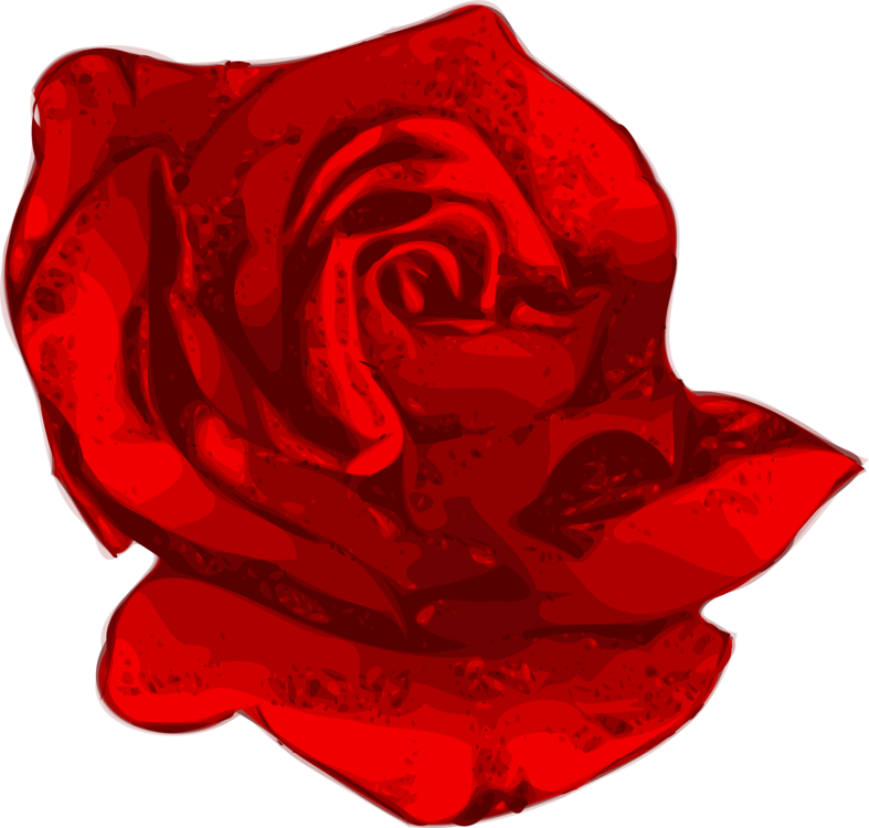 Vibrant Red Rose Graphic PNG Image