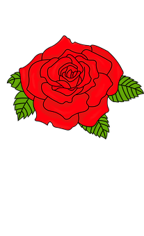 Vibrant Red Rose Illustration PNG Image